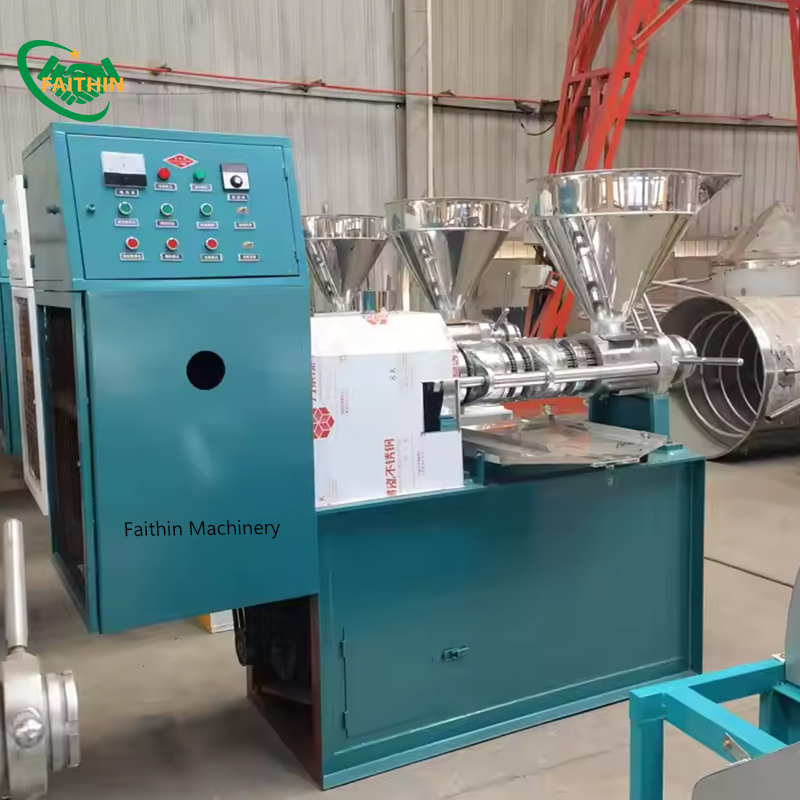 Black Sesame Cold Press Mustard Caster Oil Press Machine Automatic Oil Press Machine